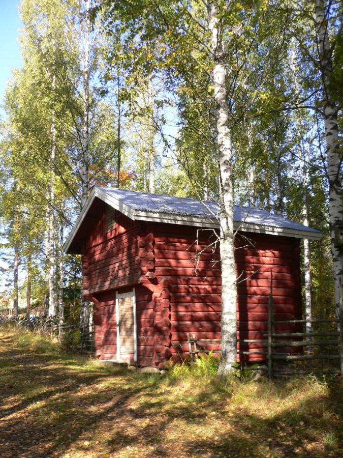 Vanha-Pälsilä lakeside farm Kuhmoinen Exteriör bild